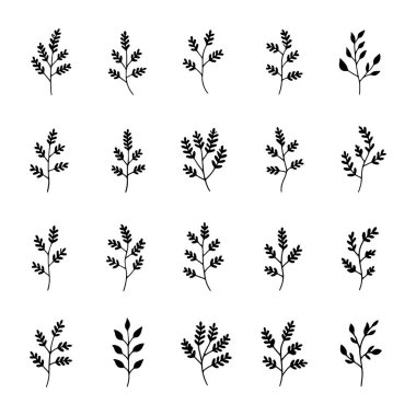 Yumuşak doğal ritmi olan ve modern doğal kompozisyonlar için mükemmel olan, akışkan yaprak ve sarmaşık resimlerinden oluşan bir botanik paketi..