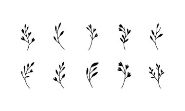 Tarifler, etiketler ve ekolojik ambalajlar için ideal basit bitki ve bitki dallarından oluşan botanik bir koleksiyon..