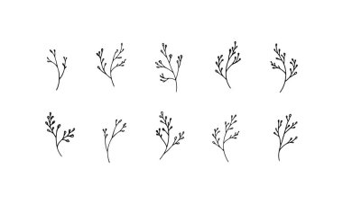 Küçük dallardan ve ince dallardan oluşan el yapımı doğrusal bir koleksiyon, ince doğal temalı sanat eserleri ve markalaşma için ideal..