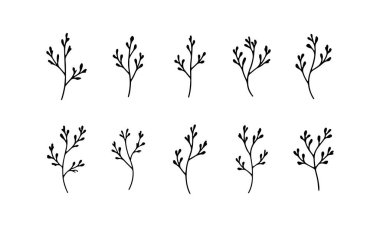 Yumuşak taç yaprakları ve akışkan gövdelerin zarif bir şekilde sergilendiği ince çiçek desenleri koleksiyonu..