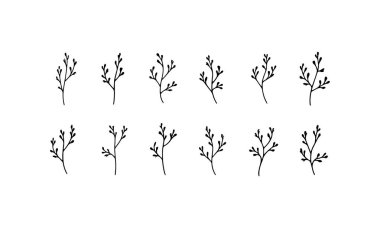 Ham mürekkep çizgileri ve evcilleştirilmemiş bitki formlarıyla etkileyici botanik çizimlerin oluşturduğu dinamik bir demet..