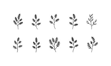 Soyut yaprak ve bitki şekilleri, modern grafikler, arka planlar ve markalaşma için ideal..