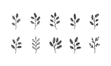 Soyut yaprak ve bitki şekilleri, modern grafikler, arka planlar ve markalaşma için ideal..