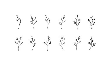 Sınırlar, logolar ve baskı malzemeleri için sanatsal yaprak simgeleri ve süslemeli bitki tasarımlarından oluşan bir seçim.