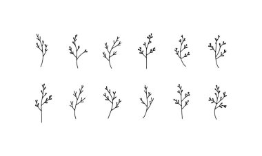 Zarif tasarımlar ve basım işleri için uygun, karmaşık ince çizgi detayları ve gerçekçi yaprak yapıları ile rafine edilmiş bir botanik set.