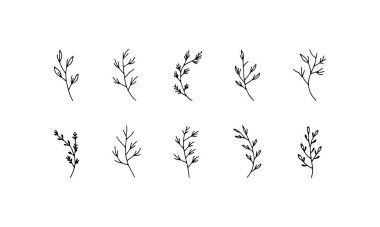 Logolar, ambalajlar ve kimlik sistemleri için tasarlanmış minimalist bitki çizimleri..