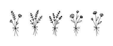 Botanik kompozisyonlar, düğün dekorları ve zarif çiçek tasarımları için mükemmel..