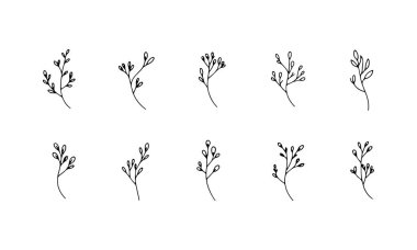 İnce Yapraklı Dal, küçük yapraklı basit el çizimi dalları temiz, minimal doğrusal tasarım içerir..