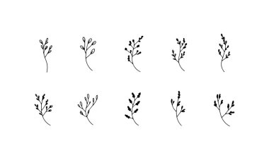 Zarif Yaprak Dalları, havadar minimumda küçük el yapımı yapraklarla ince botanik dalları tasvir eder..