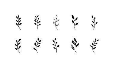 Bu botanik tasviri ince çizgileri ve minimalist tarzıyla narin bir yaprak dalını gösteriyor..