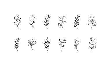 Bu basit botanik spreyi, sakin bir dikey kompozisyonda çiçek odaklı minimum çizgi elementlerini içerir..