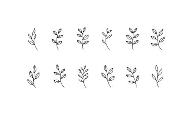 Bu ince botanik gövdeler ince bir çizgi ve ince çizgili çizgiler kullanılarak rafine edilmiş dikey bir kompozisyonda görünür..