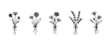 Bu illüstrasyon zarif bir el çizimi çiçek buketini narin taç yaprakları ve ince botanik ayrıntılarıyla tasvir ediyor..