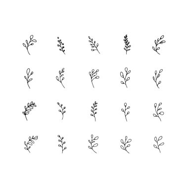 İnce çizgili, aralıklı yinelemeli, zarif bitki dalları..