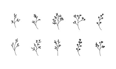 Çeşitli yeşilliklere sahip, temiz ve zarif bir botanik filizi koleksiyonu, çevre dostu markalaşma veya doğadan esinlenilmiş dekorasyon için ideal..