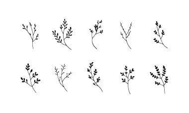 Kırsal tarzda dekoratif botanik dallar ve yapraklı dallar. Doğadan esinlenilmiş zarif markalar ve organik ambalajlar için ideal..