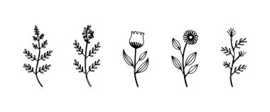 Kırsal kır çiçeklerinin doğal bir düzeni ve yumuşak organik bir tasarım..