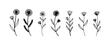 İnce yaprakları ve ince gövdesi olan yumuşak bir çiçek deseni..