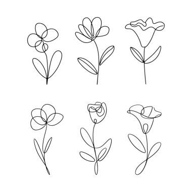 Zarif tasarım projeleri ve modern dekor için mükemmel, ince minimalist çizgili altı narin çiçeğin yer aldığı temiz bir botanik kompozisyon..