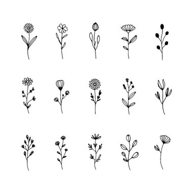 Modern çizgi sanat projeleri ve zarif doğal dekor için tasarlanmış, çeşitli çiçekleri olan temiz bir botanik paketi..