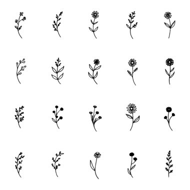 Minimum saplı, sade yapraklı ve narin çiçeklerden oluşan küçük bir çiçek koleksiyonu..