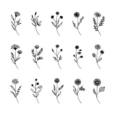 İnce çizgili yaprakları, ince sapları ve çeşitli yaprakları olan kırsal tarzda büyüleyici bir çiçek seçimi..