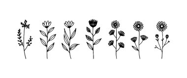 Bereketli çiçekler, dokulu yapraklar ve ince gövdelerden oluşan iyi düzenlenmiş botanik çizimler..