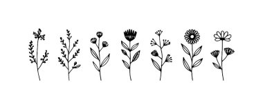 Yumuşak çiçekli, dokulu taç yapraklı ve havadar saplı doğal kır çiçeği çizimleri koleksiyonu..