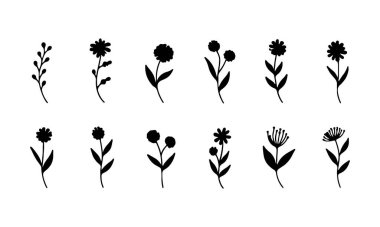 Zarif doğal kompozisyonlar için küçük yaprakları ve yuvarlak çiçekleri olan ince çizgili botanik çizimler..