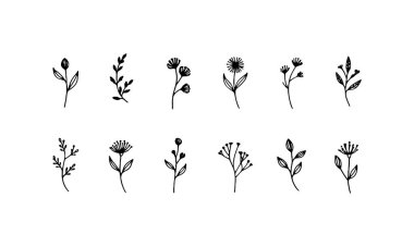 İnce çizgi çiçekli elementler elle çizilmiş, ince botanik desenler veya minimalist doğa temalı tasarımlar için idealdir..
