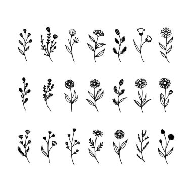 İnce çizgi çiçekli elementler elle çizilmiş, ince botanik desenler veya minimalist doğa temalı tasarımlar için idealdir..