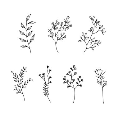 Narin el yapımı botanik elementlerin toplanması, organik tasarımlar, davetiyeler ve eko-temalı görseller için mükemmel..