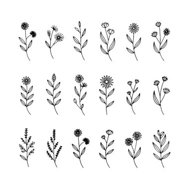 Eğlenceli şekilli ve organik dengeli, eğlence ve gelişigüzel tasarımlar için idealdir..