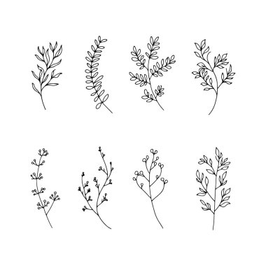 Narin el yapımı botanik elementlerin toplanması, organik tasarımlar, davetiyeler ve eko-temalı görseller için mükemmel..