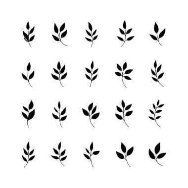 Beyaz arkaplanda bir şebeke şeklinde dizilmiş siyah yapraklardan oluşan bir koleksiyon. Tasarım, doğanın güzelliğini tekstil veya grafik tasarım kullanımı için ideal basit, sanatsal bir şekilde sergiler..