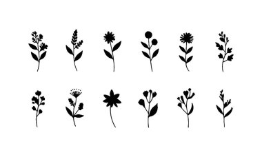 Zarif doğal kompozisyonlar için küçük yaprakları ve yuvarlak çiçekleri olan ince çizgili botanik çizimler..