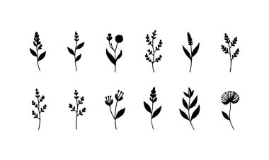 Eğlenceli şekilli ve organik dengeli, eğlence ve gelişigüzel tasarımlar için idealdir..