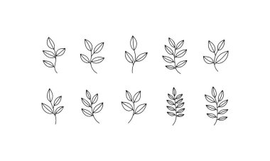 İki satırda sergilenen el yapımı yaprak çizimleri koleksiyonu. Her yaprak, sanatsal projeler veya dekorlar için ideal doğal tasarımların çeşitli çeşitliliğini sergileyerek eşsiz şekiller ve ana hatlar sergiler..