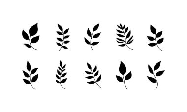 On farklı yaprak şekli yapılandırılmış bir düzende gösterilir, çeşitli şekil ve boyutlar gösterilir. Siyah siluetler beyaz arkaplanla keskin bir tezat oluşturuyor, zarafetlerini vurguluyorlar..