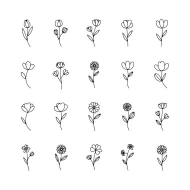 Bu koleksiyonda düz beyaz bir arkaplanda düzgün bir şekilde düzenlenmiş farklı çiçeklerin el çizimi sanatı sergileniyor. Tasarımlar şekil ve boyut olarak farklılık göstererek basitliği vurguluyor.