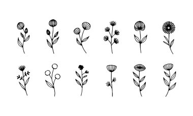 Eğlenceli şekilli ve organik dengeli, eğlence ve gelişigüzel tasarımlar için idealdir..