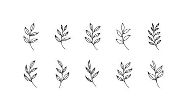 İki sıra halinde dizilmiş çoklu yaprak şekilli çizgi çizimleri. Tasarımlar sanat, zanaat ve doğa çalışmalarında yaratıcı uygulamalar için ideal doğal formlar sergiliyor..