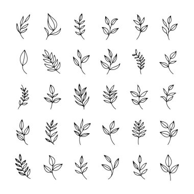 Farklı şekil ve boyutlarda, bir ızgaraya yerleştirilmiş çeşitli el yapımı yaprak çizimleri. Bu botanik elementler yaratıcı tasarım projeleri veya dekorasyonlar için kullanılabilir.