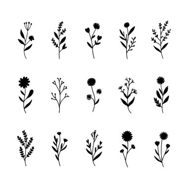 Eğlenceli şekilli ve organik dengeli, eğlence ve gelişigüzel tasarımlar için idealdir..