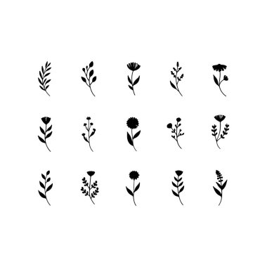 Zarif doğal kompozisyonlar için küçük yaprakları ve yuvarlak çiçekleri olan ince çizgili botanik çizimler..