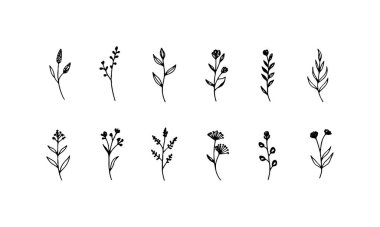 Eğlenceli şekilli ve organik dengeli, eğlence ve gelişigüzel tasarımlar için idealdir..