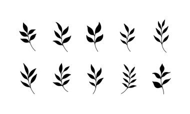 Çeşitli yaprak siluetleri bir ızgara biçiminde sanatsal olarak düzenlenmiştir. Her yaprak, doğaya odaklanan arka plan veya tasarım projeleri için ideal şekil ve boyutları gösterir..