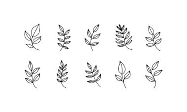 İki sıra halinde dizilmiş çeşitli el yapımı yaprak çizimleri farklı stil ve boyutlarda sergilenmektedir. Her tasarım, sanat çalışmalarını geliştiren temiz bir arkaplanda karmaşık detaylar içerir..