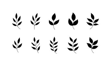 Beyaz arka planda çeşitli siyah yaprak siluetleri bir sırada sergilenir. Tasarımlar farklı şekil ve boyutları gösterir, görsel olarak çarpıcı bir düzenleme oluşturur.