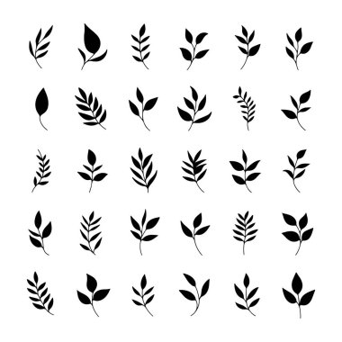 Değişik yaprak şekillerini gösteren bir dizi siyah siluet ızgara deseninde sıralanmış. Her tasarım benzersiz botanik özellikler sergiliyor, doğanın güzelliğini minimalist tarzda vurguluyor..